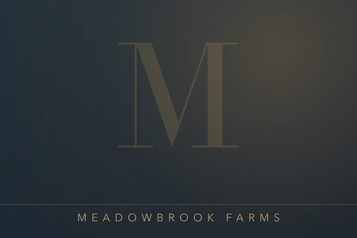 Homes for sale in Meadowbrook Farms